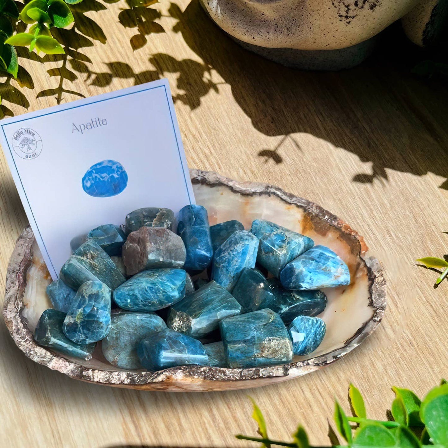 Apatite Tumble Stone