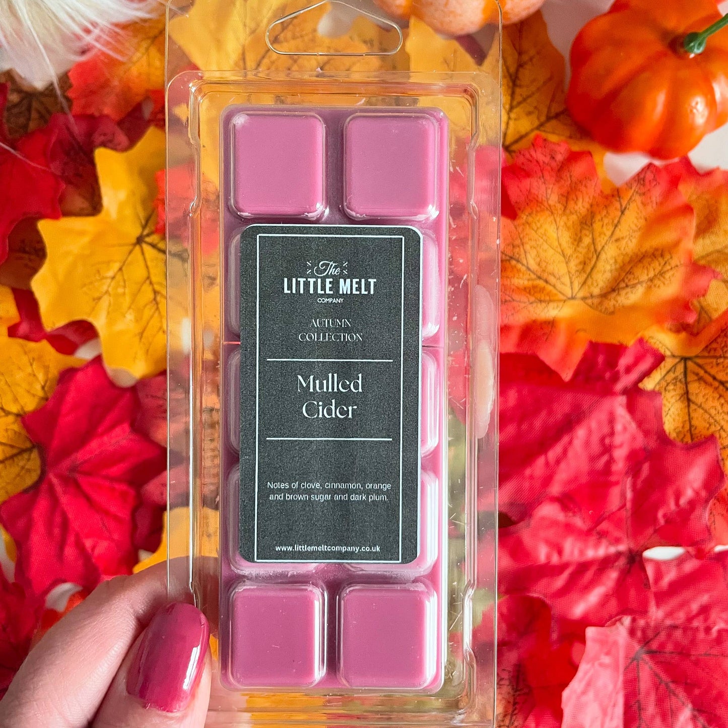 Mulled Cider Wax Melt Snap Bar