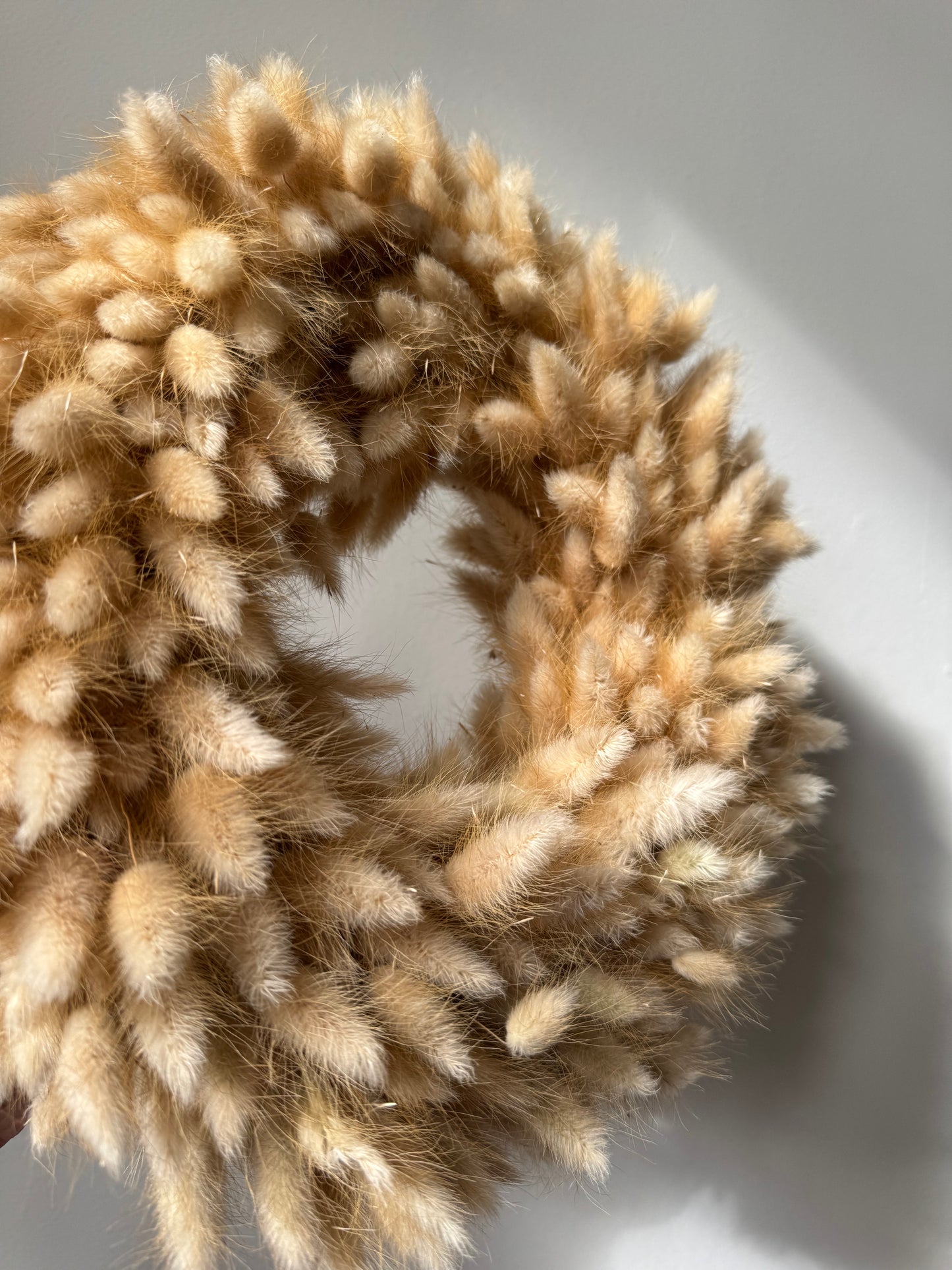 Dried Flowers Wreath - Bunny Tails 30cm
