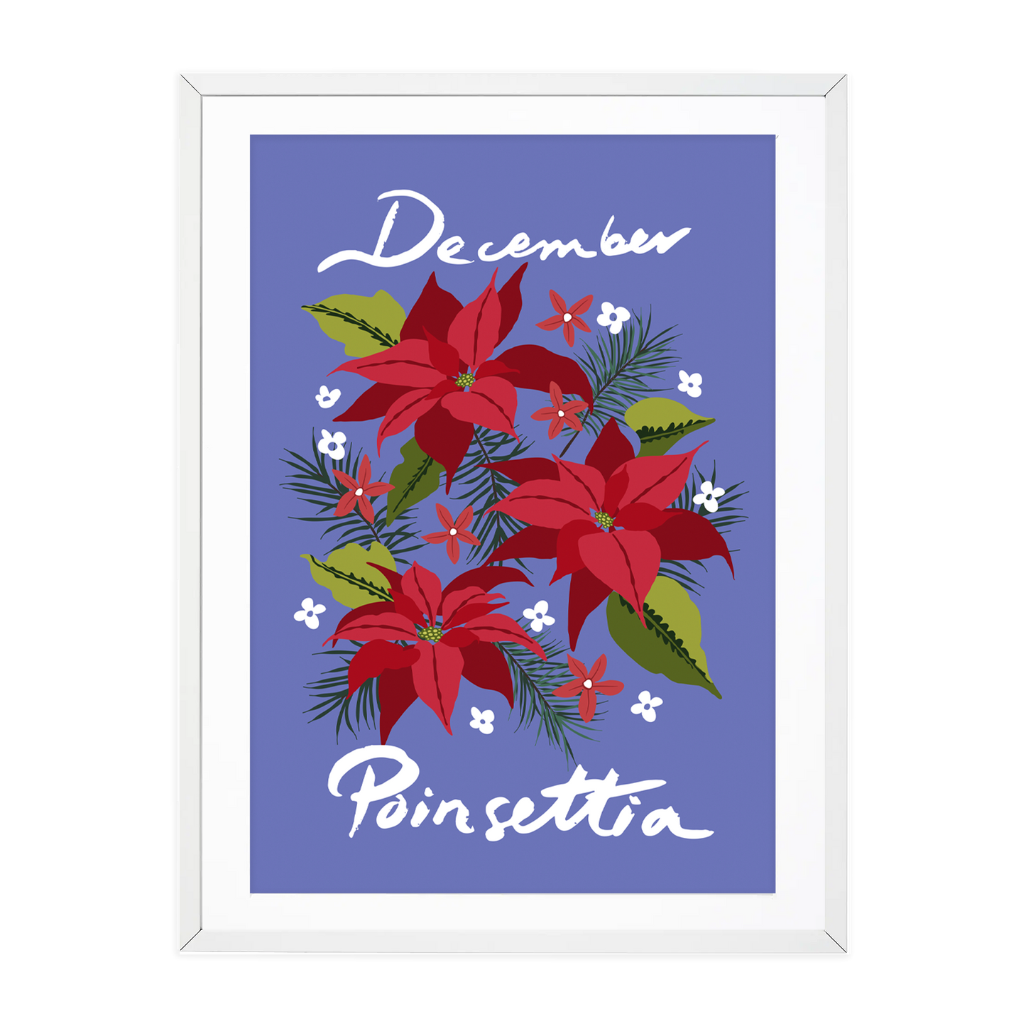 Birth Flower Print December - Poinsettia - A6