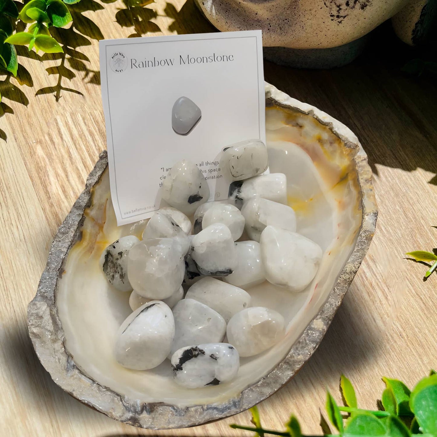 Rainbow Moonstone Tumble Stone