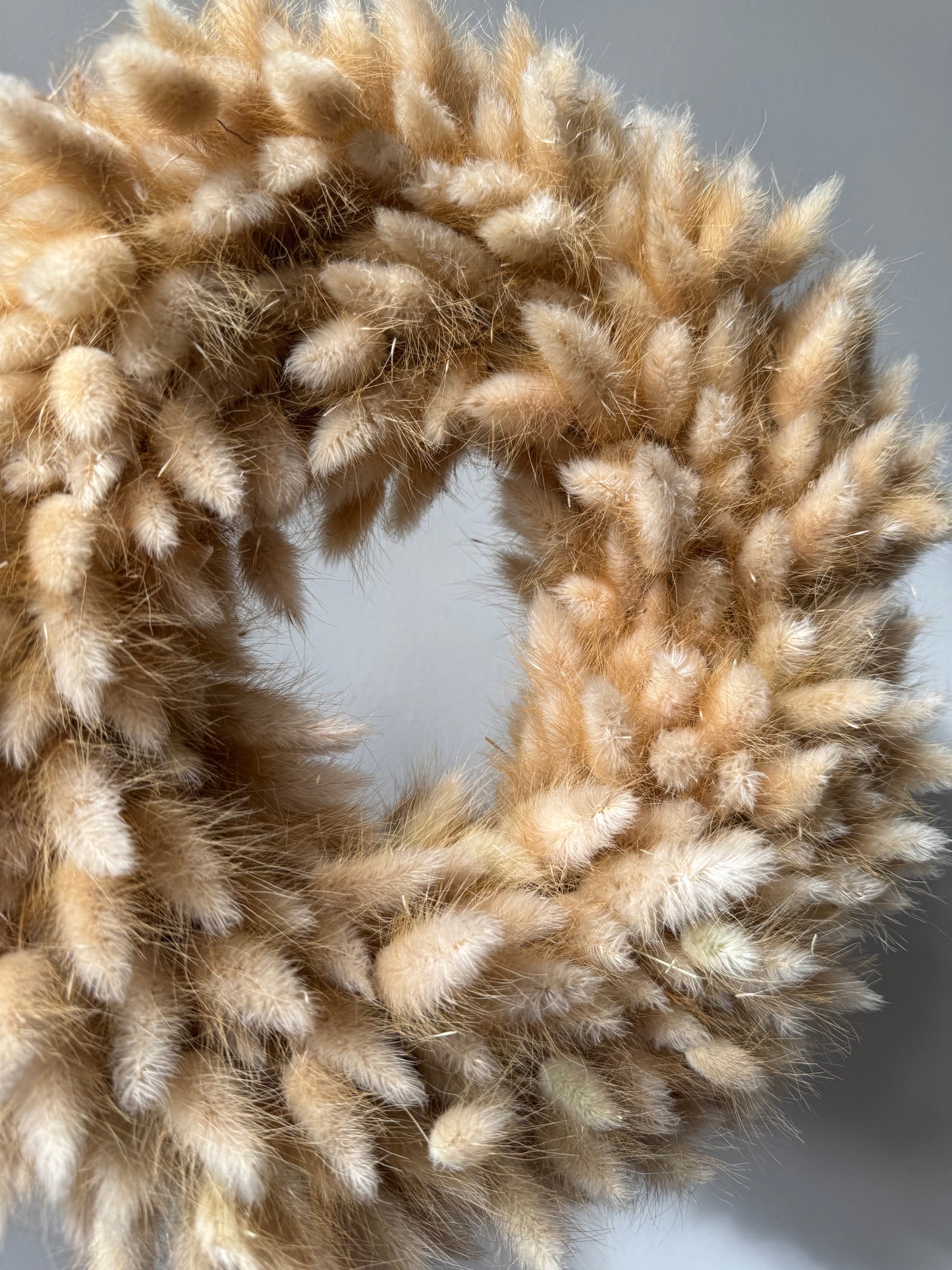 Dried Flowers Wreath - Bunny Tails 30cm