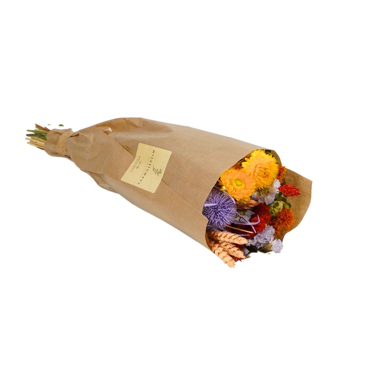 Dried Flowers - Carnival