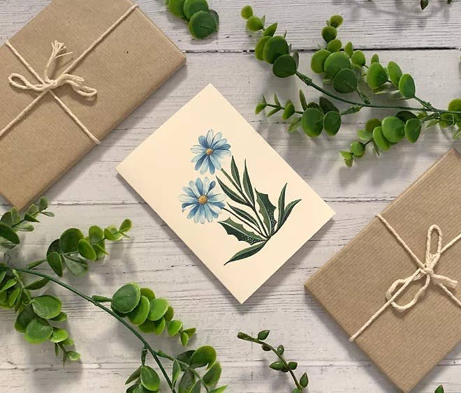 Daisies Greeting Card