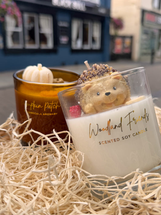 September Special: Hedgehog & Autumn Candles