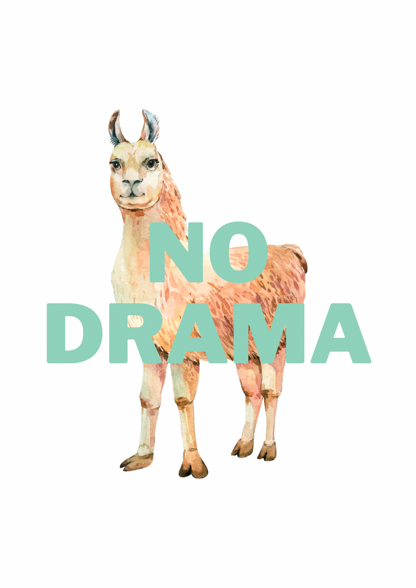 No drama llama print: A4