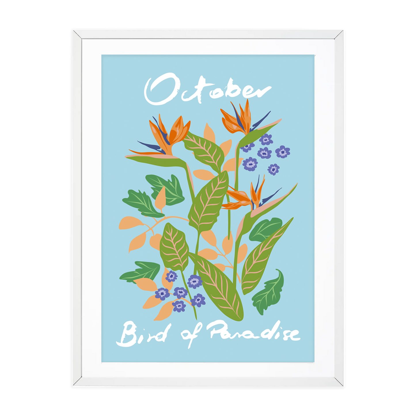 Birth Flower October - Bird Of Paradise - A6