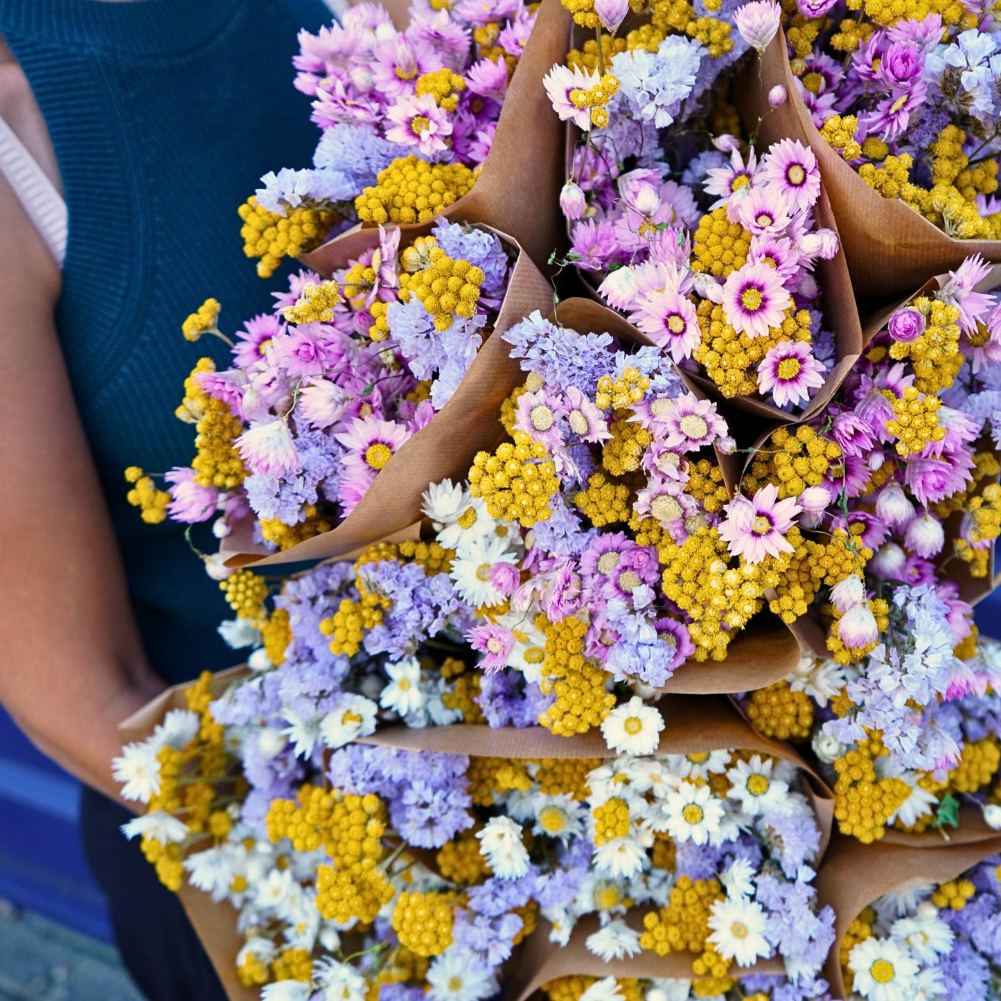 Dried Flowers - Dutch Mix