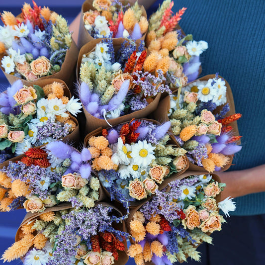 Dried Flowers - Lavender Peach