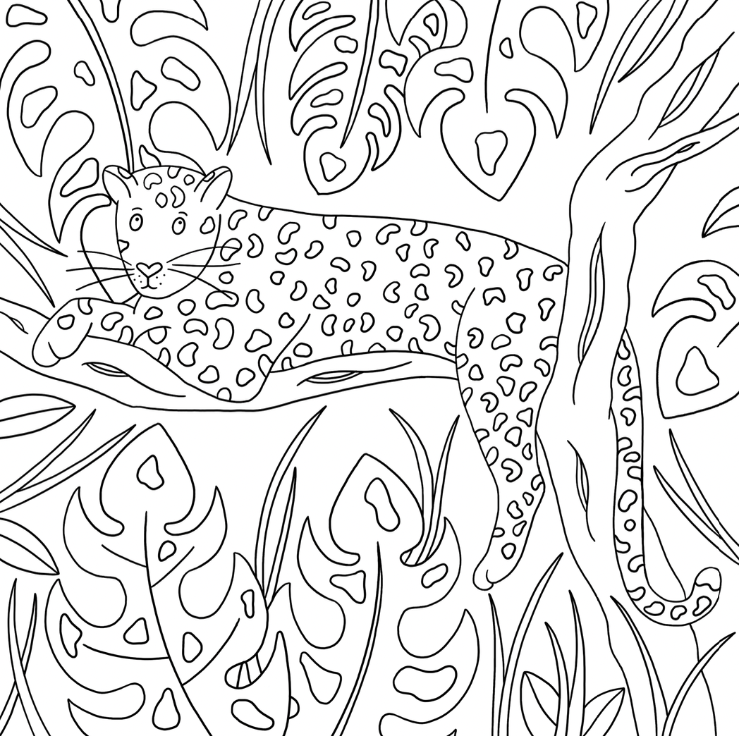 Animal Colouring Book