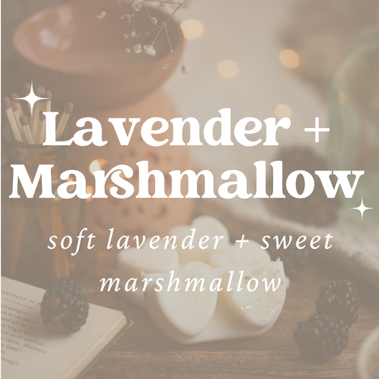 Lavender + Marshmallow Heart Clamshell / Soy Wax Melts