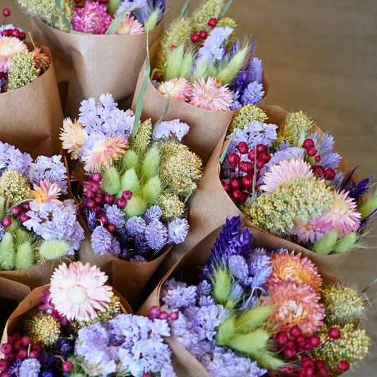 Dried Flowers - Purple Dusk