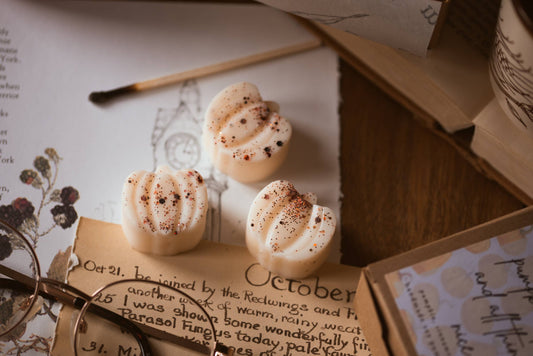 Farmhouse Cider Pumpkin Patch / Autumn Fall Soy Wax Melts