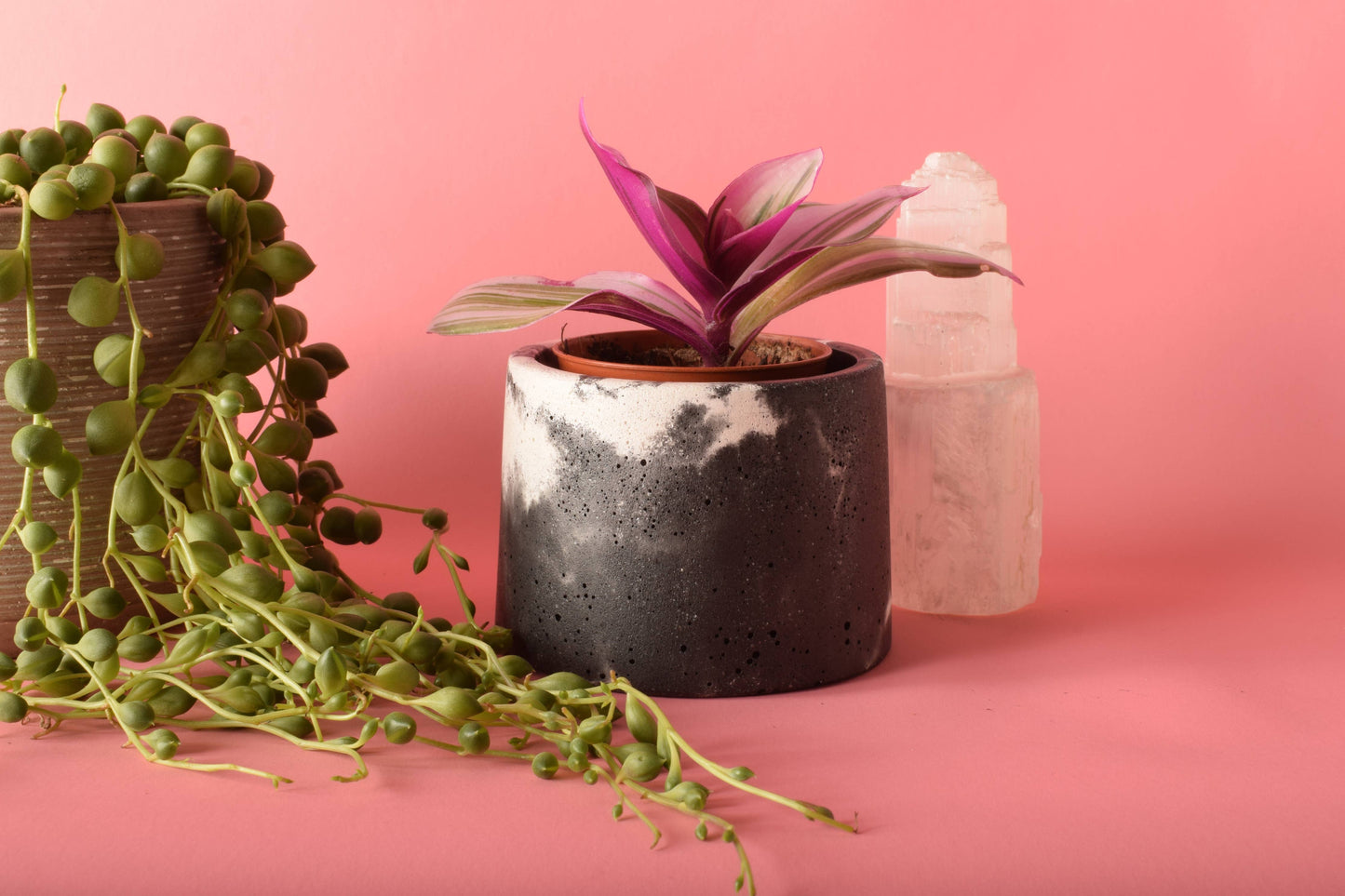 Small Plant Pot: Pink & White