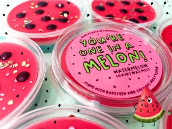 You're One In A Melon - Wax Melt Pot