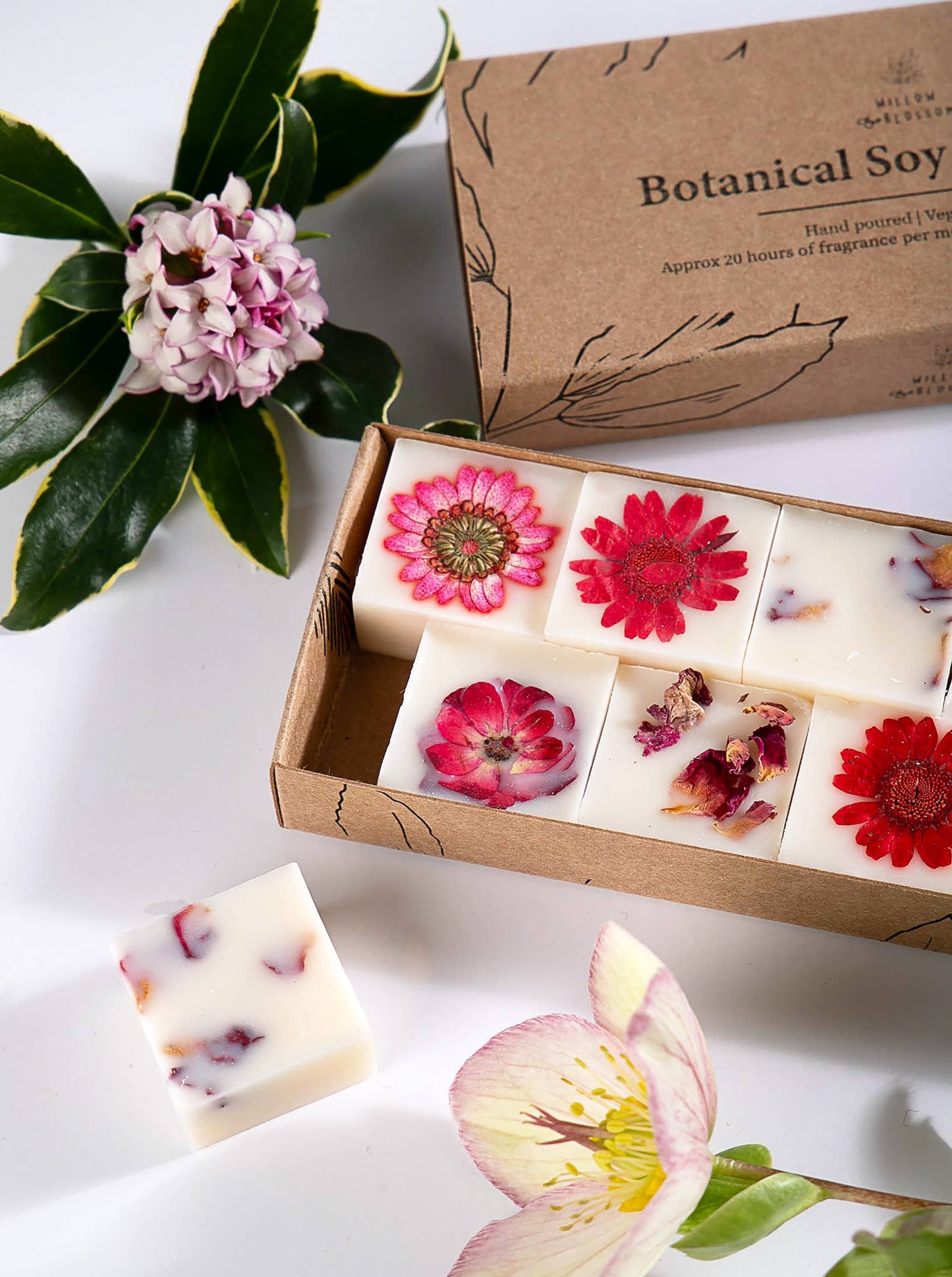 Boxed Botanical Soy Wax Melts: Raspberry & Wildflower