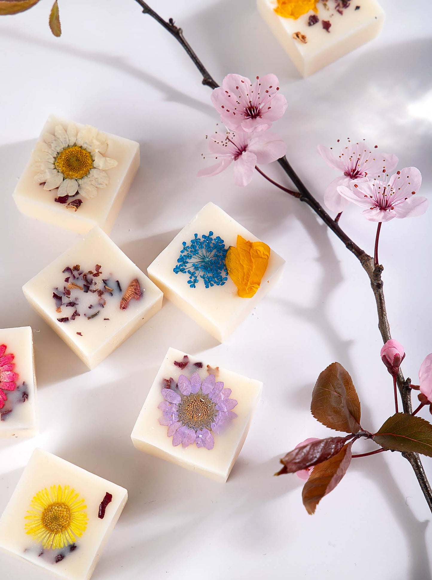 Boxed Botanical Soy Wax Melts: Tea Rose & Wild Rhubarb