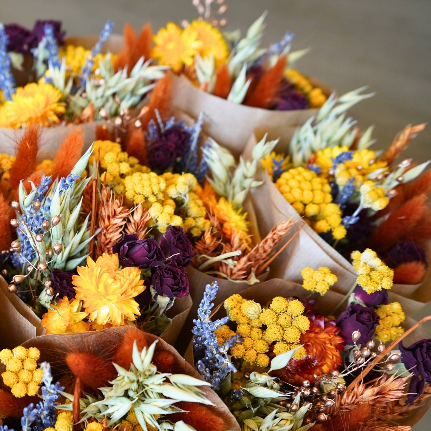 Dried Flowers - Harvest Sunset