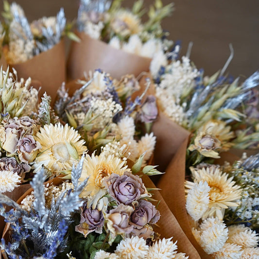 Dried Flowers - Frosted White