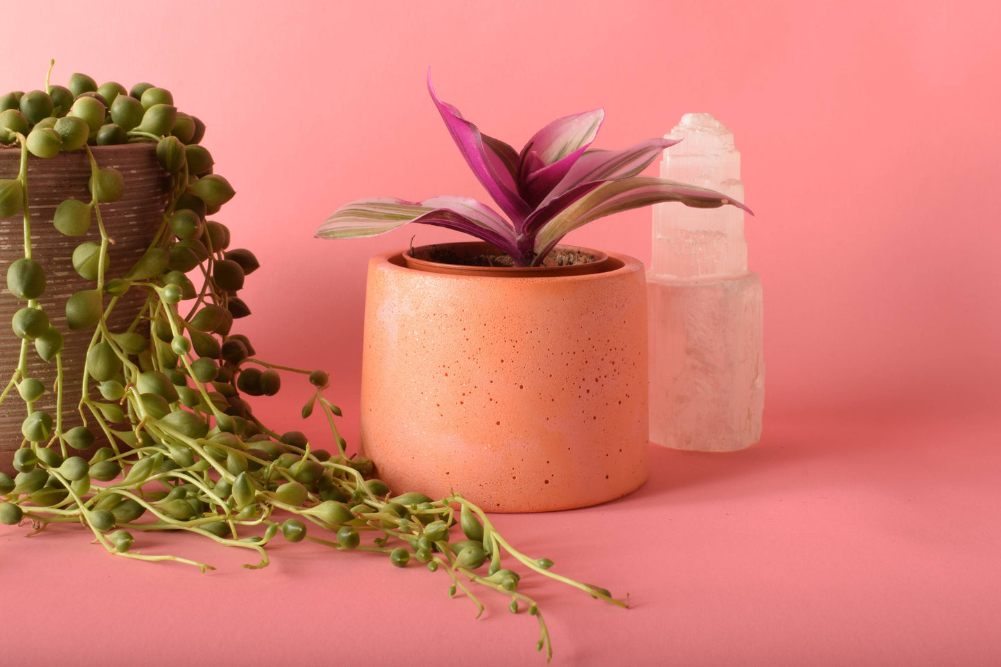 Small Plant Pot: Pink & White