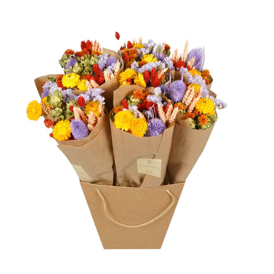 Dried Flowers - Carnival