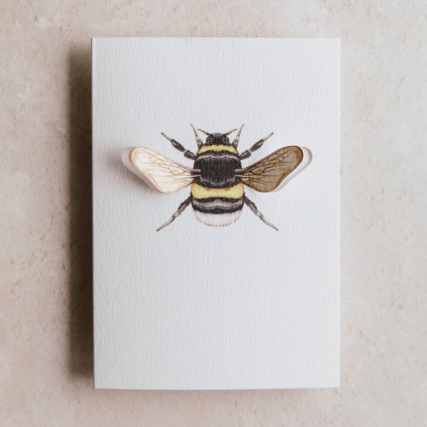 Bumble Bee Pop Out Watercolour Greetings Card