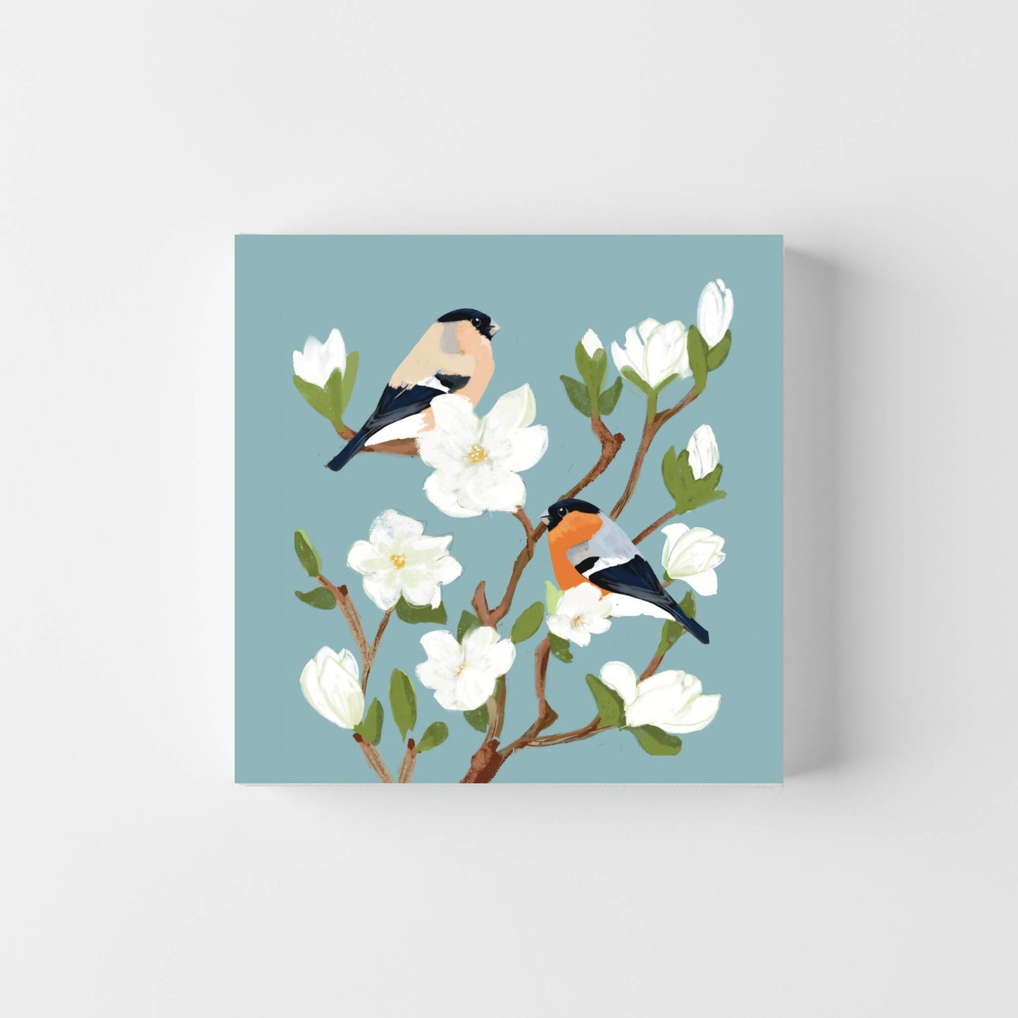 Bullfinch In Magnolia