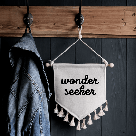 Wonder Seeker Pennant Flag